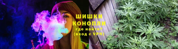 дмт Белокуриха