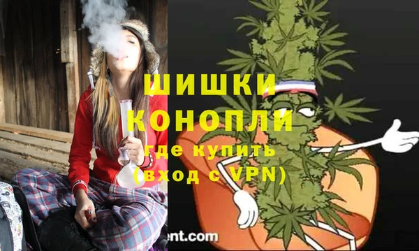 дмт Белокуриха