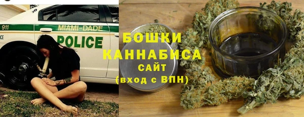 дмт Белокуриха
