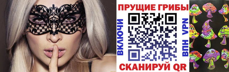 Псилоцибиновые грибы мухоморы  дарнет шоп  Ипатово 